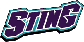 Charlotte Sting 1997-2003 Wordmark Logo iron on transfers for T-shirts